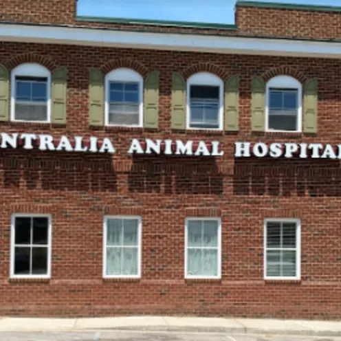 Centralia Animal Hospital - Side Exterior
